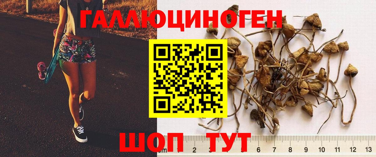 Псилоцибиновые грибы мухоморы  Вход с VPN  Нарткала 